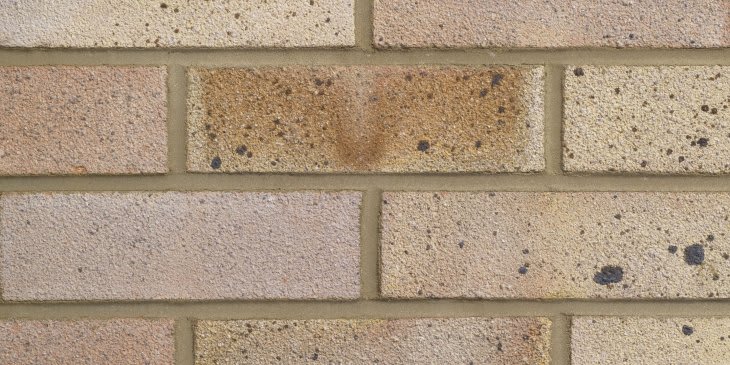 Forterra Facing Brick Dapple Light Brick (Pack of 390)