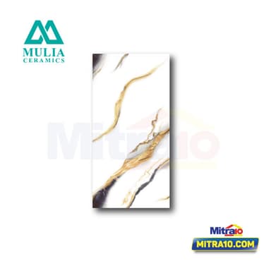 Mulia Keramik Dinding 30 × 60 cm Rec Halsey Gold Glossy