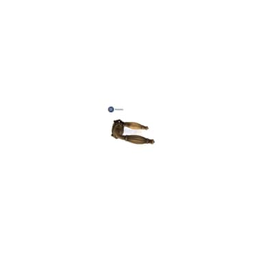 Pasini Handle Gagang Pintu HRE.805.05