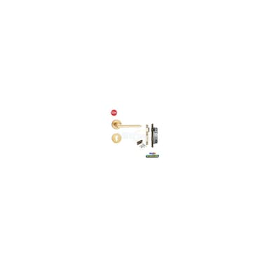 Zehn Gagang Pintu Lux 5 F13Z07S-24K-MGP + BODY 304 Matt Gold (Set)