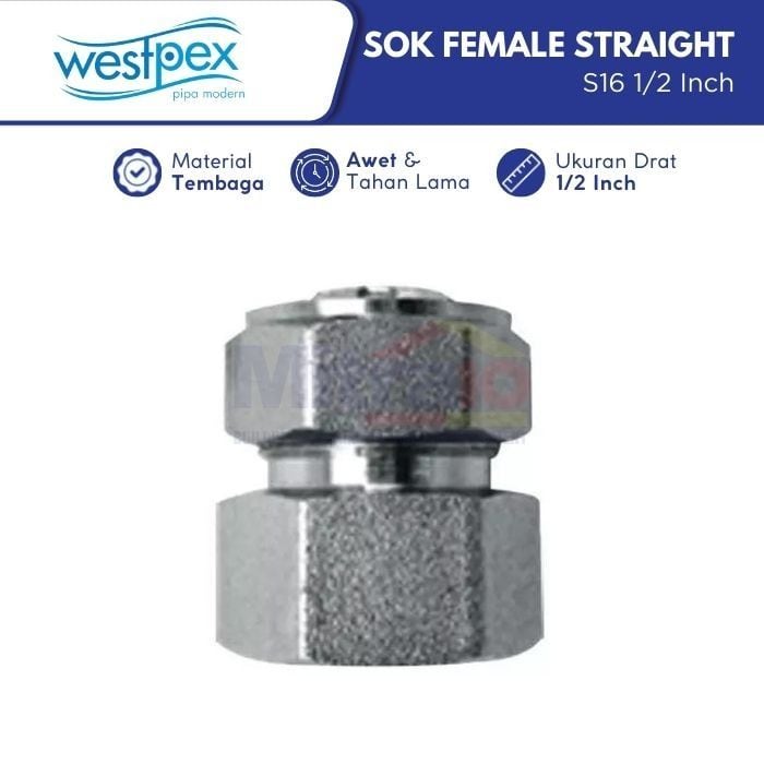 Westpex Fitting Sok Female Straight Air Panas Dan Dingin S16 1/2 Inch visual 2