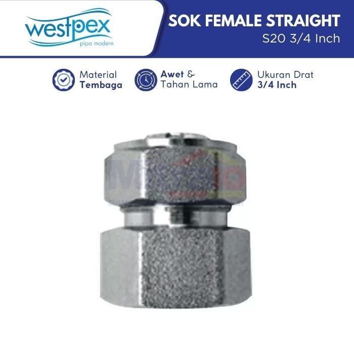 Westpex Fitting Sok Female Straight Air Panas Dan Dingin S20 1/2 Inch visual 2