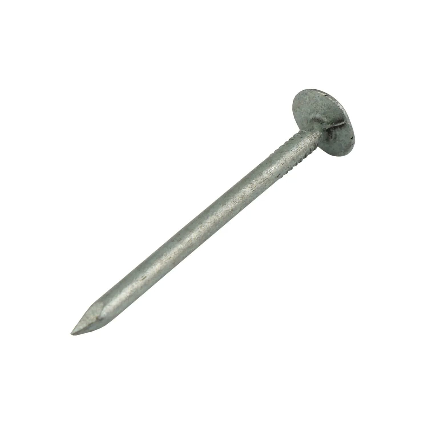 Galvanised Clout Nail 30mm (500g/Bag) visual 2