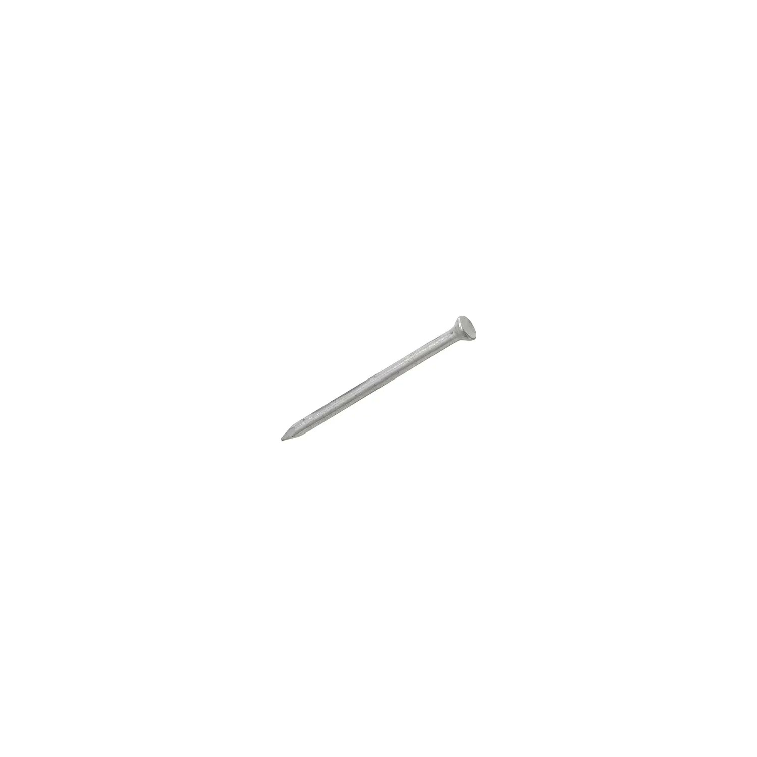 Masonry Nails 100mm (100/Pack) visual 2